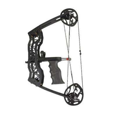 China Durable Outdoor Compound Bow Outdoor Shooting 40lbs Archery Fish Hand Holding Wheel Small Compound Archery for sale