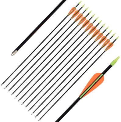 China 30 Inch Fiberglass Arrow Practice Hunting And Shooting Hunting Arrows With Removable Heads For Compound And Recurve The Bow for sale