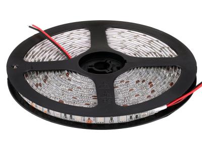 China 5m Broodjes Witte SMD 5050 LEIDENE Strook 24V gelijkstroom 60LEDS/M de Dubbele Multikleuren van Laagpcb Te koop