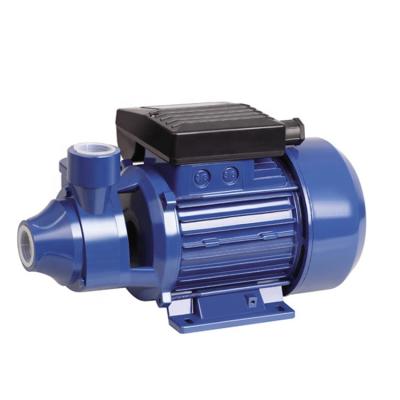 China Others Vortex Pump Volumetric Water Pump Garden Pumps for sale