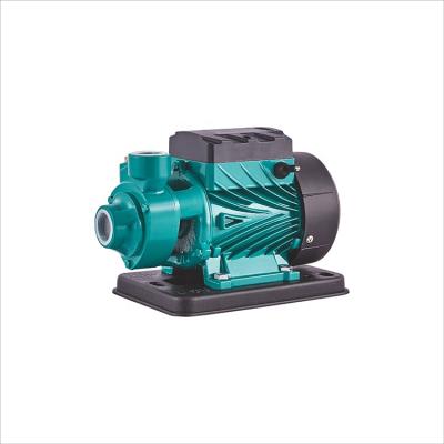 China Pump qb60 370w 0.5hp vortex pump self-priming end-suction small peripheral for sale