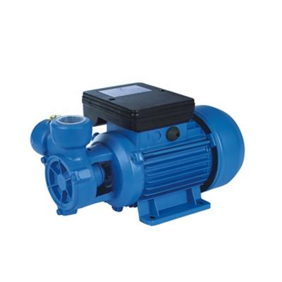 China Water Pumps DB125 Low End Peripheral Washing And Cleaning 0.5 Hp Water Pump Water Gasoline Price for sale