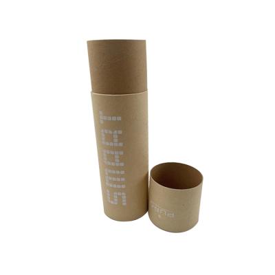 China Shenzhen Kraft Handmade Eco Friendly Cardboard Lift Up Paper Tube For Lip Balm for sale