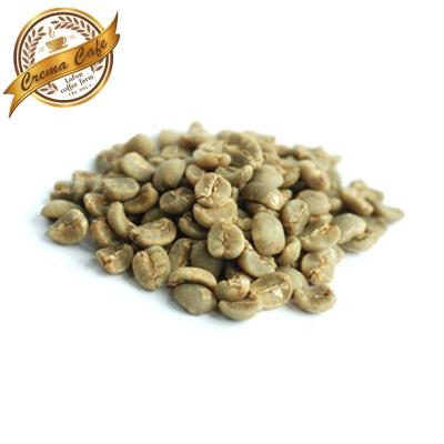 China The best price of coffee beans - raw arabica coffee beans in bulk 17-18 for sale