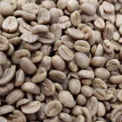 China Arabica Specialty Coffee Beans - LaFon Coffee Farm TPC-01 for sale