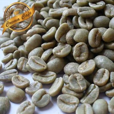 China Grade 1Pound Single - Green Specialty Arabica Bean - For Trial Order for sale