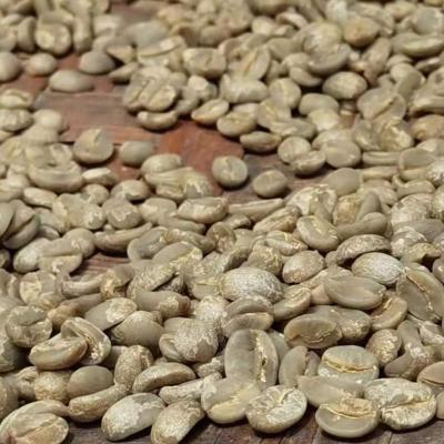 China Arabica Specialty Coffee Beans LaFon Coffee Farm TPC-02 for sale