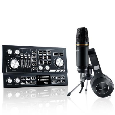 China High-quality studio professional mixer condenser professional wired microphone kit HS-AP901 for sale