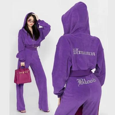 China Other Brand Custom Logo Women's Casual Tracking Suit Wholesale Custom Logo Velvet Tracksuit for sale