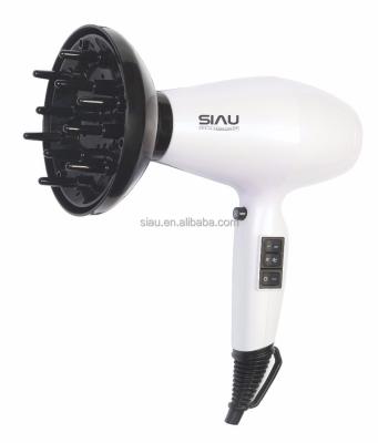 China Hot Selling Professional Ionic Hair Dryer for sale