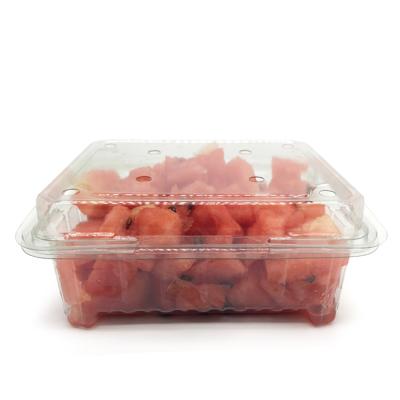 China Disposable plastic clear mold free sample container clamshell packaging fruit direct sale for sale