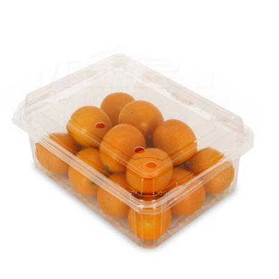 China Food Grade Disposable Clear Plastic Fruit Packing Clamshell Container Customized Blister Fresh Food Packing Box for sale