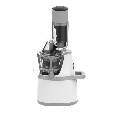 China 250w Hotel Stainless Steel Fruit Juicer Extractor Cold Press Machine Masticating Slow Centrifugal Juicer For Fruit Vegetable for sale