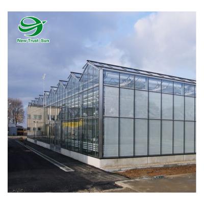 China Glass agricultural vegetable intelligent glass greenhouse with hydroponics system price for sale