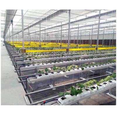 China Stable Structure Easily Assembled Hydroponic Farm Tomato System Tunnel Plastic Sheet Invernadero Multi-Span Greenhouse for sale