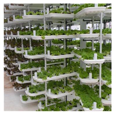 China Stable Structure Easily Assembled Cost-Effect Commercial Greenhouse With Fully Automatic Hydroponic Grow Systems for sale