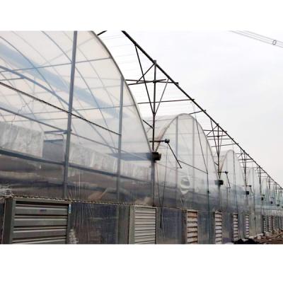 China High Light Transmittance Lettuce Greens Strawberry Tomato Hydroponic Multispan Vegetable Tunnel Film Growing Greenhouses for sale