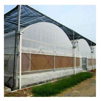 China High Light Transmittance Hot Sale Tomato Hydroponics Tunnel Multi-span Tropical Gothic Vegetable Greenhouses for sale