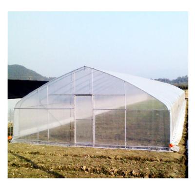 China Simple structure and easy assemly cheap solar tunnel tomato vegetables Singlespan poly 200 micron green plastic sheet house for sale for sale