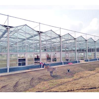 China High Light Transmittance Low Cost Venlo Agricultural Glass Gable Tomato Seedling Hydroponic Growing Greenhouse for sale