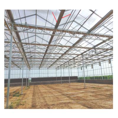 China Hydroponics venlo vegetable tomato agriculture high light transmittance multispan glass greenhouse for sale for sale