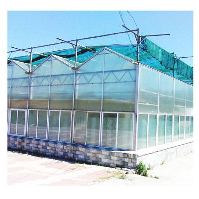 China Hot Selling High Light Transmittance Agriculture Green House Tomato Pepper Multi-span Hydroponic venlo Glass Greenhouse for sale