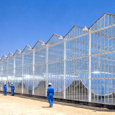 China Stable Structure Easily Assembled Commercial Smart Modern Agricultural Glass Greenhouse With Hydroponics System for sale