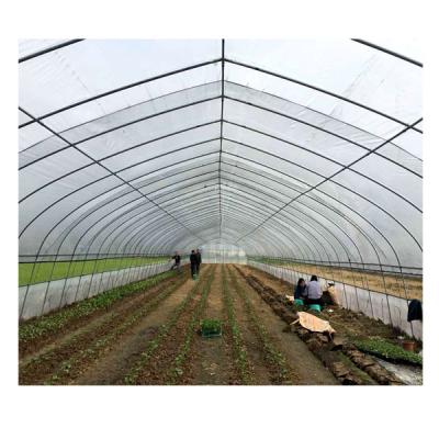 China Simple structure and easy assemly chinese solar agricultural plastic film greenhouses greenhouses singlespan construction for sale