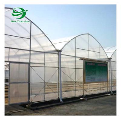 China High light transmittance best selling green house tropical multispan plastic sheet tunnel hydroponic greenhouse for sale for sale