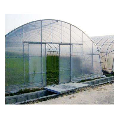 China Simple structure and easy growing 150 micron plastic tomato sheet tunnel cheap assemly greenhouse for nursery for sale