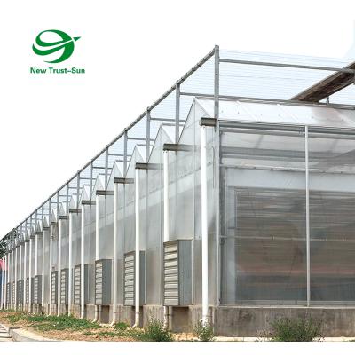 China Planting Victorian Commercial Vegetables Household Garden Greenhouses Polycarbonate Sheet With Hydroponic NFT Channels for sale