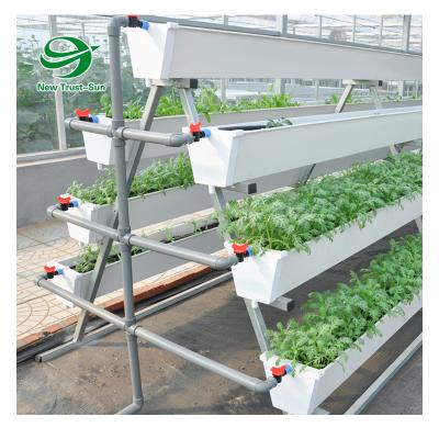 China High Quality Stable Structure 8mm Polycarbonate Sheet Gable Greenhouses With One Frame Strawberry Hydroponic Farming for sale