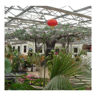 China Beautiful And High Quality Stable Structure Glass Restaurant Greenhouse For Lettuce / Tomato / Strawberry for sale