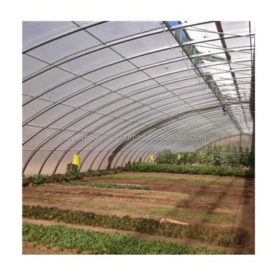 China Environmental Friendly Stable Structure Solar Greenhouse For Strawberry for sale