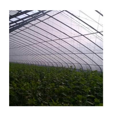 China Stable Structure Stable Structure Chinese Solar Greenhouse For Tomatoes for sale