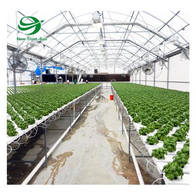 China Stable Sell Greenhouse Movable Structure Ebb And Flood Benches / Rolling Seeds for sale