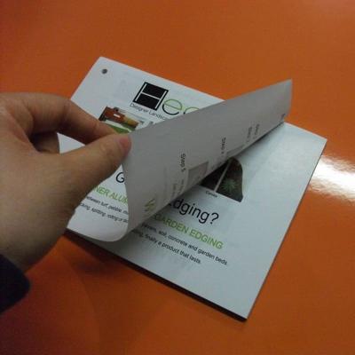 China paper & Small Cardboard Booklet for Instruction Paper Bugs Recycle Paper Cards for sale