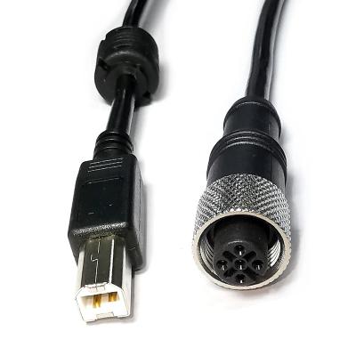 China USB 2.0 Type B Male Camera To M12 5 Pin A-Code Female Cable For Industrial Cameras And Printers for sale