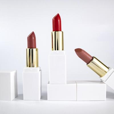 China Private Label Waterproof Matte Lipstick Halal Makeup Lipstick for Women for sale