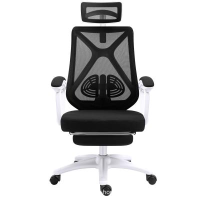 China Other Office Esports Lift Chair Ergonomic Internet Cafe Chairs Mesh Breathable Backrest Home With Wheelset Seat for sale