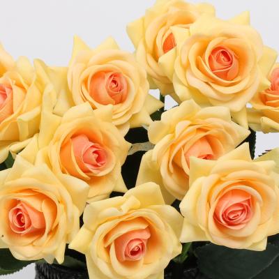 China Beautiful Colorful Latex Single Head Rose Artificial Flowers Real Touch Rose Flowers Bunch for sale