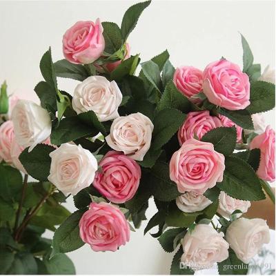 China Beautiful colorful real touch feeling flowers rose short branch 2 head tea rose decoration artificial flowers home decor for sale