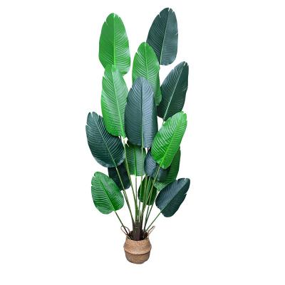 China Traveler Green Hot Selling Environmental Protection Artificial Banana Trees For Indoor Home Bonsai Tree for sale