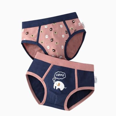 China Briefs Boys Pure Cotton Breathable Cute Printed High Quality Underwear For Kids for sale