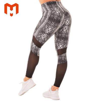 China OEM Breathable Fashion High Waist Gym Fitness Tights Snake Printed Yoga Pants With Mesh Panel Workout Mesh Fitness Gaiters for sale