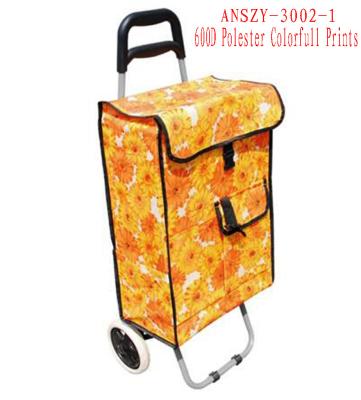 China Colorfull Large Capacity Light Weight Wheeled Shopping Trolley Push Cart Bag for sale