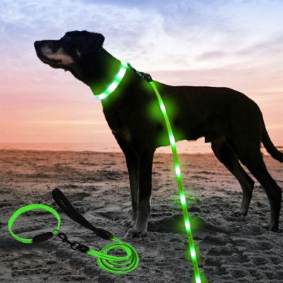 China Ready To Ship: Lighting Pets Nylon Chains Sets Small Size USB Chargering Dog Leashes And Dog Collars for sale