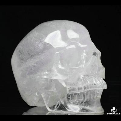 China China 8.0 Inch Quartz Rock Crystal Carving Natural Skulls Skulls Healing Crystals Skulls for sale