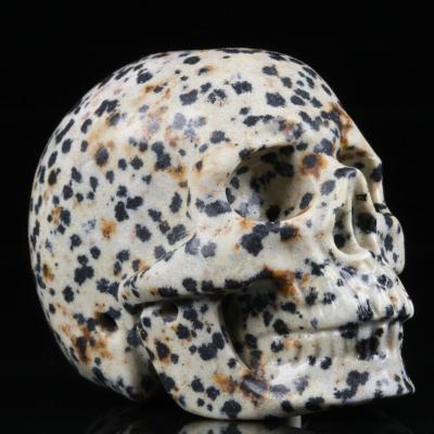 China China 2.0 Dalmatine Jasper Crystal Skulls Carved Healing Crystals Skulls feng shui crystal for sale for sale