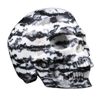 China Mr. Skull Huge from China 5.0